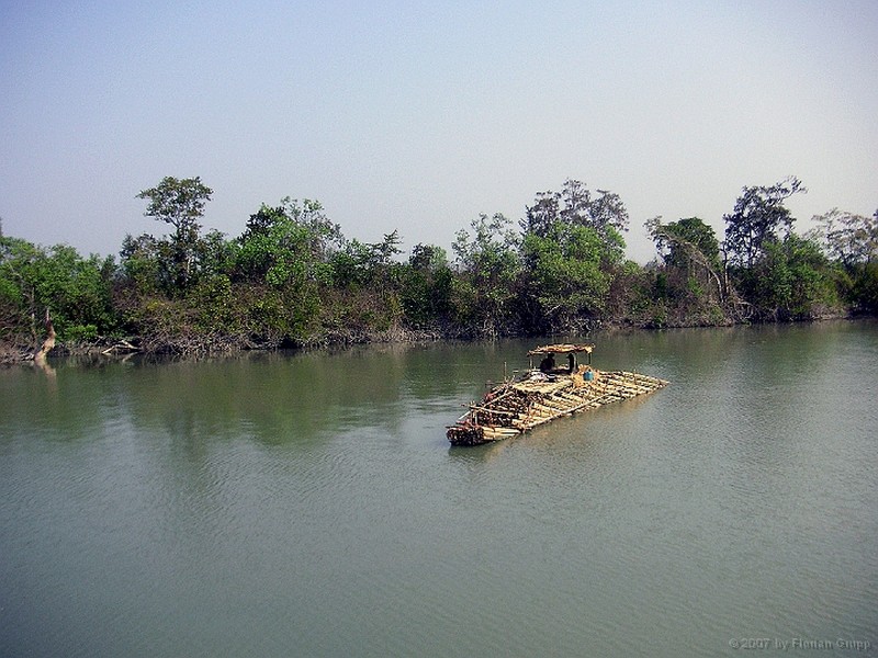 Đảo Ramree ở Myanmar là một trong những  hòn đảo đáng sợ nhất Trái đất. Điều này xuất phát từ việc hàng trăm con cá sấu nước mặn ẩn nấp ở khu đầm lầy trên đảo.