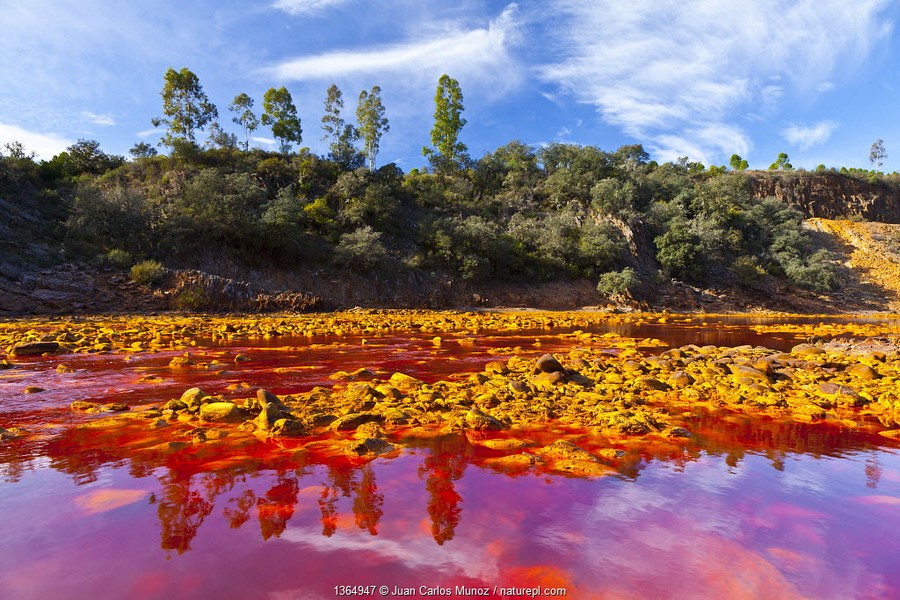 Sông Rio Tinto ở Tây Ban Nha gây ấn tượng với màu nước đỏ như máu. Theo các chuyên gia,  vùng nước này có màu nước ấn tượng như vật là do có chứa nhiều kim loại nặng như vàng, bạc, đồng đến từ những mỏ khai thác khoáng sản được có niên đại hơn 5.000 năm.