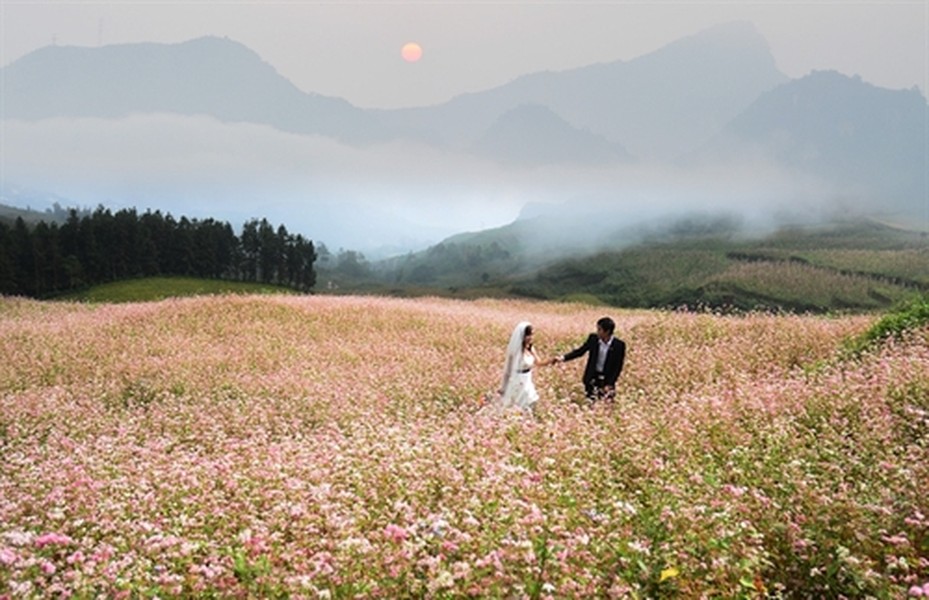 Hà Giang là nơi địa đầu tổ quốc. Vào thời điểm này, Hà Giang bạt ngàn hoa tam giác mạch, loài hoa bé li ti với sắc hồng phơn phớt đặc trưng của núi rừng. Ảnh: Blog khamphadulich.