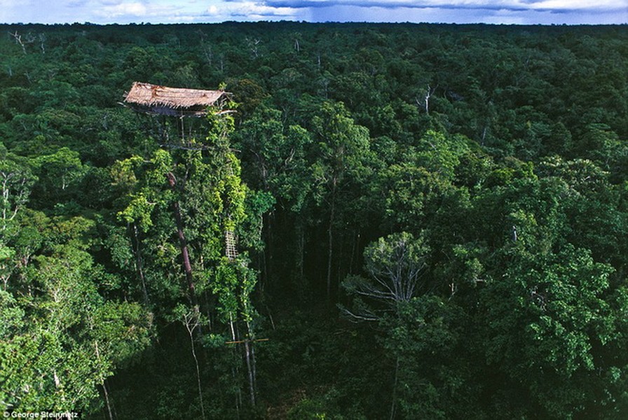 Bộ tộc trên sống tại Papua, Đông Nam Indonesia.