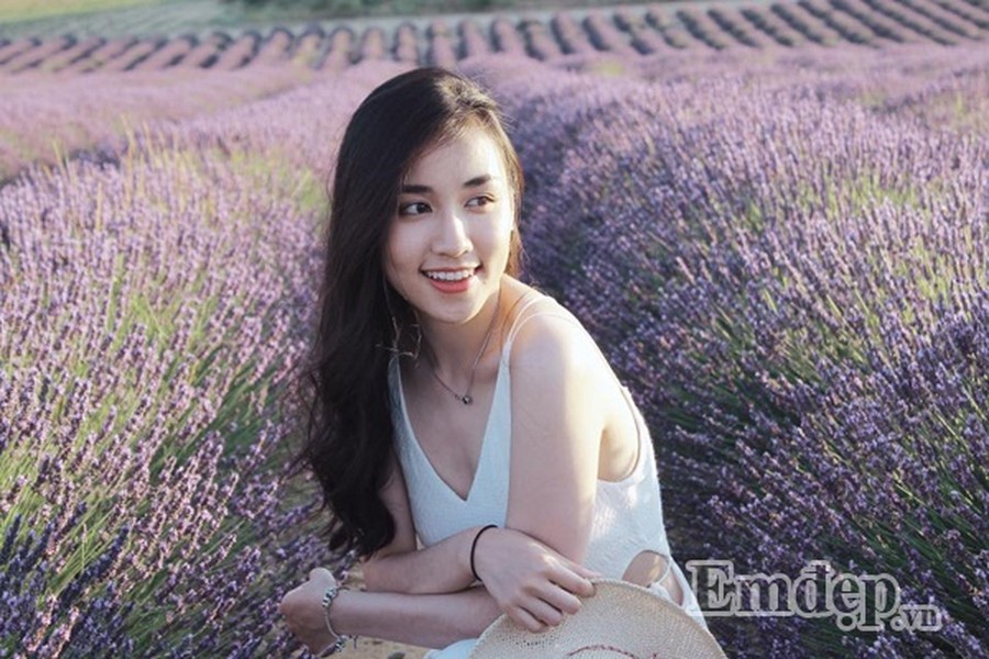 Chủ nhân của những bức ảnh giữa  cánh đồng oải hương (lavender) khiến ai cũng phải ghen tỵ này là cô nàng Lê Phương Thảo (sinh năm 1993), hiện đang theo học ngành quản trị thương hiệu thời trang tại Học viện Istituto Marangoni tại Paris.