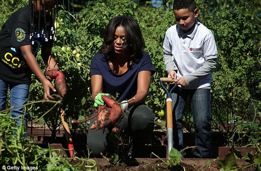 Bà Michelle Obama và các em học sinh trường tiểu học Thủ đô Washington rất hào hứng thu hoạch các loại rau, cà rốt, khoai lang...tại khu  vườn rau Nhà Trắng.