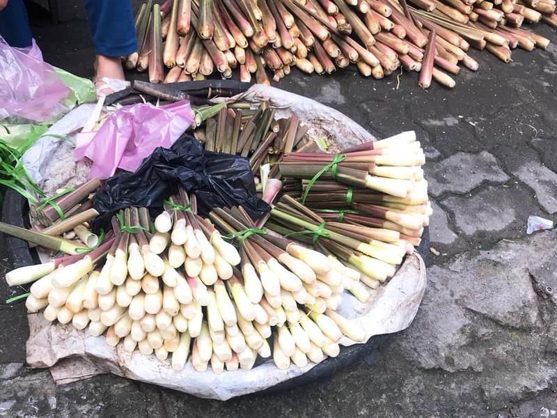 Cứ đến tháng 11 hàng năm, các bà nội trợ lại thường săn lùng một món đặc sản Nam Định gọi là củ niễng. Niễng có vị ngọt thơm thơm bùi bùi, tiếc là mỗi mùa chỉ kéo dài khoảng hơn 1 tháng.