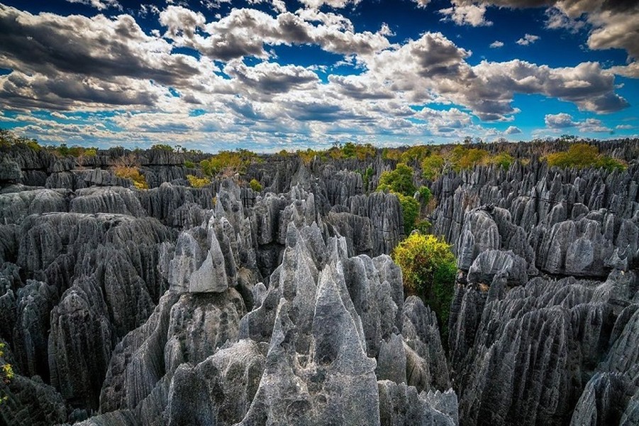 Tsingy là một  khu rừng đá ngoạn mục, là điểm du lịch mạo hiểm nằm trên hòn đảo Madagascar. Khu rừng này còn được gọi là “rừng dao”, được phát hiện từ những năm 1990 và đã được công nhận là Di sản thế giới. (Ảnh: IT)