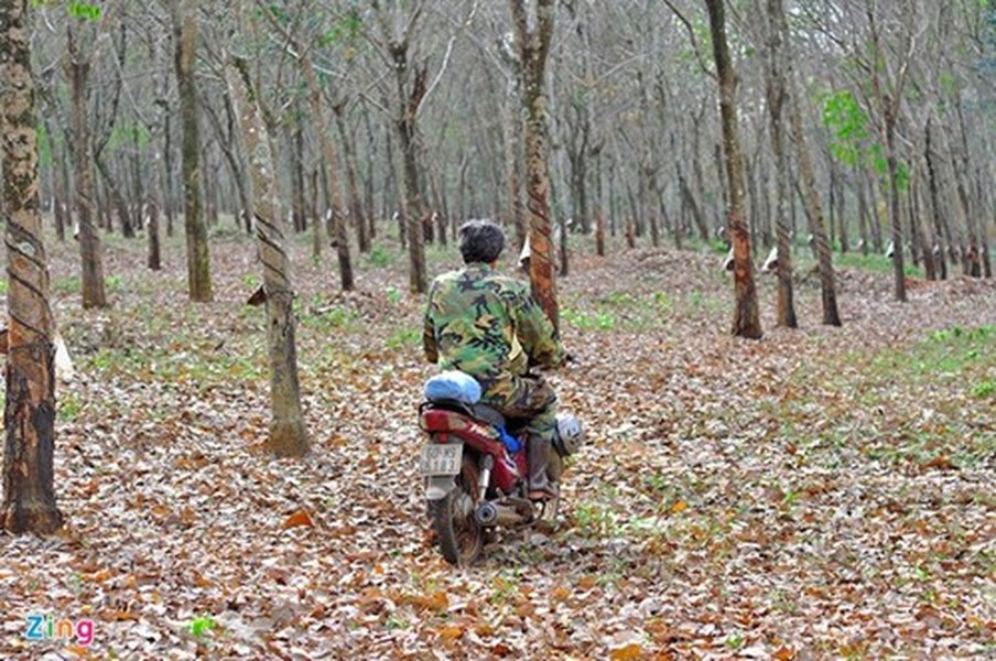 Người có nghề độc đáo là vợ chồng ông Lê Văn Hiếu (59 tuổi, ngụ xã Phú Tân, huyện Định Quán, Đồng Nai). Năm 2005, ông tình cờ phát hiện đàn  kiến nhọt (côn trùng có thân to màu đen, dài) vào hang tấn công bọ cạp khiến loài động vật có nọc độc phải chạy ra ngoài. "Tôi quan sát và nghĩ đến việc sử dụng kiến săn bọ cạp thay cho việc đào hang. Nghề câu thứ côn trùng lạ lùng bén duyên với tôi từ ngày đó", ông Hiếu kể.