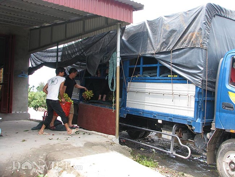 Phường Phương Nam những ngày trung tuần tháng 5 năm nay nhộn nhịp hơn bao giờ hết.