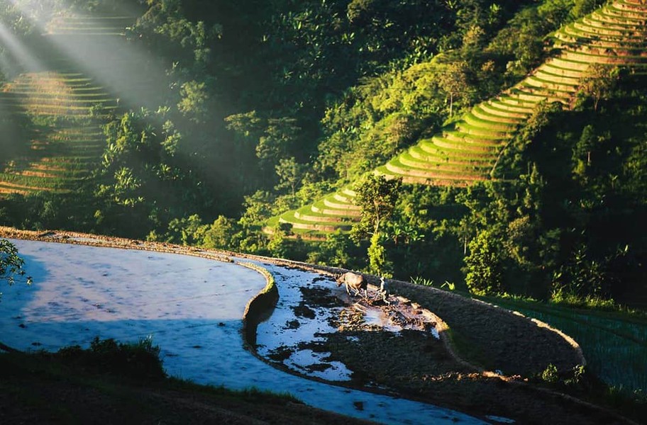  Si Ma Cai là một huyện biên giới phía Bắc, Việt Nam, nằm ở phần Đông Bắc của tỉnh Lào Cai, cách TP Lào Cai khoảng 95km. Truyền thuyết kể rằng, Sa Pa và Si Ma Cai là hai chị em sinh đôi. Cả hai lớn lên đều mang vẻ đẹp thuần khiết của núi rừng. Si Mai Ca còn hoang vu và chưa phát triển, nhưng lại có những vẻ đẹp vô cùng kì diệu khiến dân phượt cứ nô nức về đây miệt mài tìm cõi mơ.