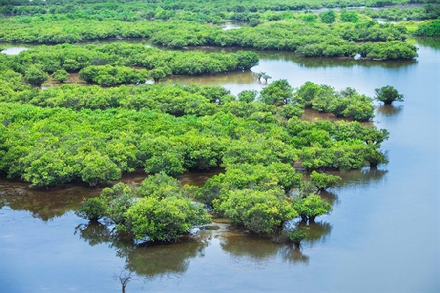  Vườn quốc gia Xuân Thủy thuộc huyện Xuân Thủy, tỉnh Nam Định là khu Ramsar (công ước quốc tế về bảo tồn và sử dụng một cách hợp lý và thích đáng các vùng đất ngập nước có tầm quan trọng quốc tế) thứ 50 của thế giới và là khu Ramsar đầu tiên của khu vực Đông Nam Á và Việt Nam.    