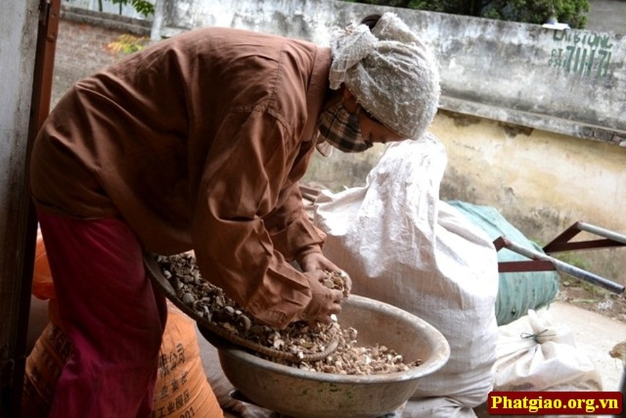 Trải qua bao thăng trầm, đến nay nghề làm hương vẫn giữ được nét đặc trưng về mùi thơm, nhẹ mà thanh. Mỗi nén hương luôn mang đậm chất tâm linh của người Việt. “Nguyên liệu chủ yếu để làm hương là cây thơm như Tùng, Trắc...được nghiền thành bột. Sau đó trộn lẫn với các 30 loại thảo mộc như: xuyên đại hoàng, xuyên quy, trắc bách diệp, hoàng đàn, tùng bạch chỉ, đinh hương...để tạo thành keo kết tinh thảo mộc” – Ông Đào Đức Cơ (người đã hơn 30 năm làm nghề Hương xạ) chia sẻ.