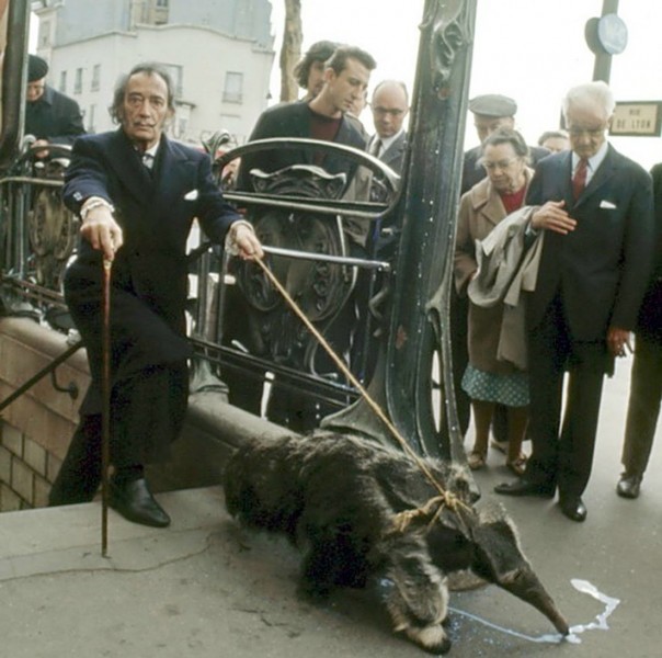 Họa sĩ Dali dắt con thú ăn kiến đi dạo ở Paris, 1969.