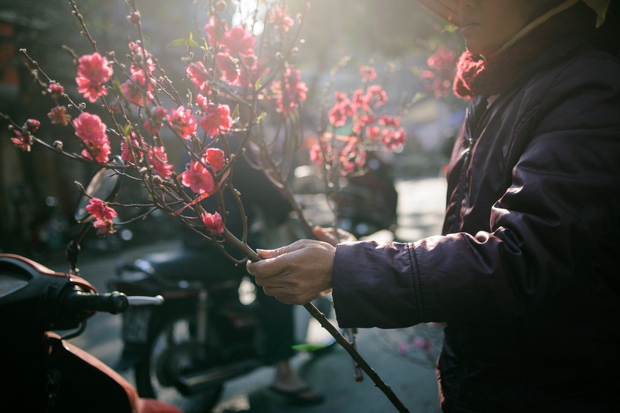 Mùa xuân Hà Nội ngập nắng hồng... khoảnh khắc những cành đào Tết được người dân trao nhau trong buổi sáng đầu năm mãi đi vào lòng người.