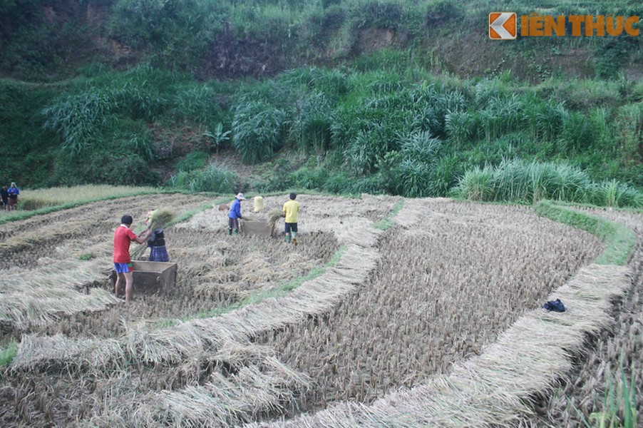 Có lẽ trong cuộc đời, dù bạn là người không thích du lịch lắm thì cũng nên một lần đến đây vào tháng 10 khi những ruộng lúa cuối cùng sắp được gặt xong. Mời bạn xem góc nhìn của PV  Kiến Thức vừa từ  Mù Cang Chải gửi về.