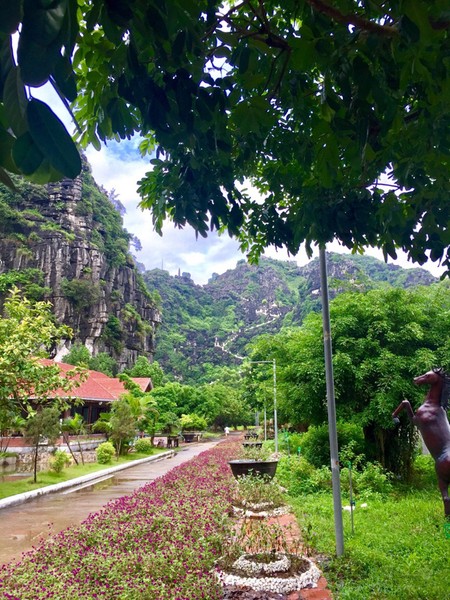 Bên cạnh Tam Cốc Bích Động, Tràng An thì Hang Múa là một nơi không thể bỏ qua nếu ghé chân đến  Ninh Bình.