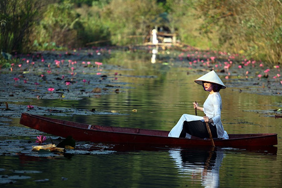 Khi những ánh nắng ban mai hanh dịu của mùa thu bắt đầu lấp ló sau đỉnh núi, từng đoàn thuyền chở du khách rời xa nơi thị thành ồn ã náo nhiệt xuôi xuôi theo dòng nước và cảm nhận bầu không khí chẳng những trong lành mà còn thăng bình, dịu dàng, lặng yên của suối Yến mùa  hoa súng nở.