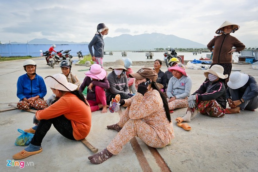 Đội nữ khiêng cá mập Thủy Đầm, phường Ninh Thủy, thị xã Ninh Hòa (Khánh Hòa) gồm khoảng 30 người sống cùng thôn. Khi có tàu câu cá mập trở về, họ gọi điện thông báo cho nhau để cùng đi khiêng thuê. Công việc này đã có từ 20 năm qua.