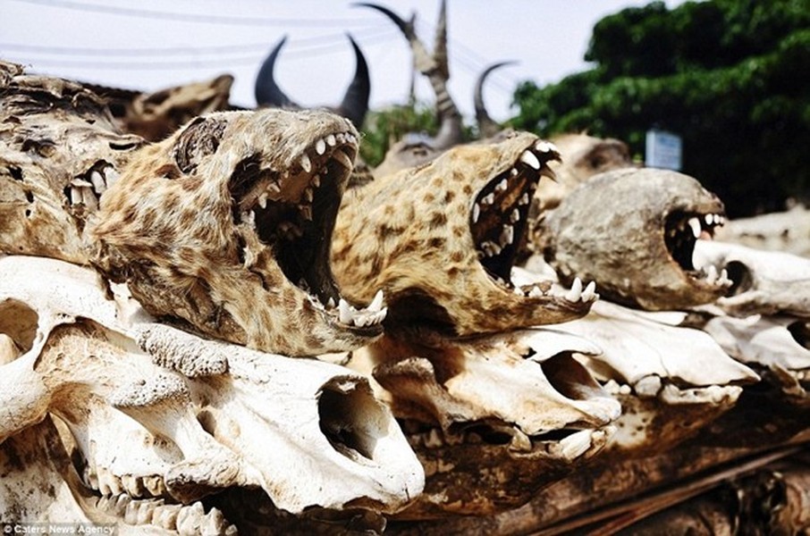 Khu chợ Marche des Feticheurs ở thủ đô Lomé, Togo được xem là khu  chợ bùa ngải lớn nhất thế giới.