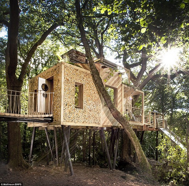 Ngôi nhà trên cây Woodsman's Treehouse ở Crafty Camping, Droset, Anh từng giành được nhiều giải thưởng về kiến trúc và hiện nay,  ngôi nhà gỗ  trên cây đặc biệt này đang có cơ hội giành được giải thưởng House of the Year do Viện kiến trúc Hoàng gia Anh bình chọn.