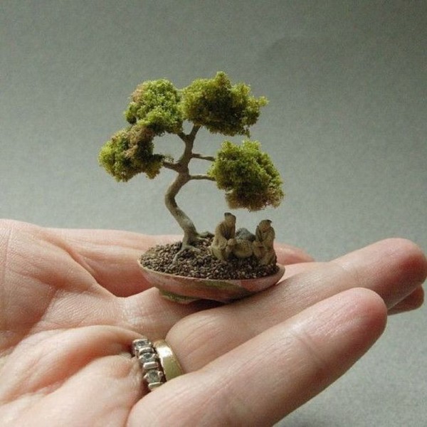 Vài năm gần đây, giới chơi cây cảnh rộ lên phong trào trồng  bonsai mini chỉ nhỏ bằng đầu ngón tay. Ảnh: Printest.