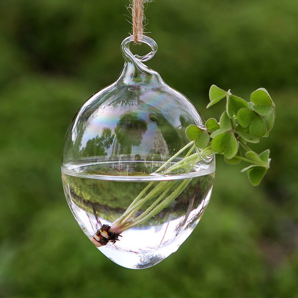 Từ lâu tiểu cảnh Terrarium trở thành một thú chơi được nhiều ưa thích bởi sự xinh xắn như khu vườn nhỏ đáng yêu. Ảnh: AliExpress.