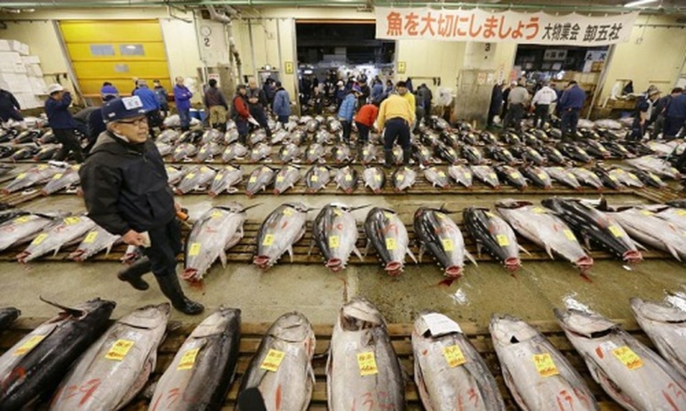 Thành lập năm 1935, chợ Tsukiji (Tokyo, Nhật Bản) là một trong những  chợ cá lớn nhất thế giới. Hàng ngày, vào lúc 5h sáng chợ Tsukiji sẽ diễn ra buổi đấu giá cá ngừ nổi tiếng. Ảnh: Japantimes.