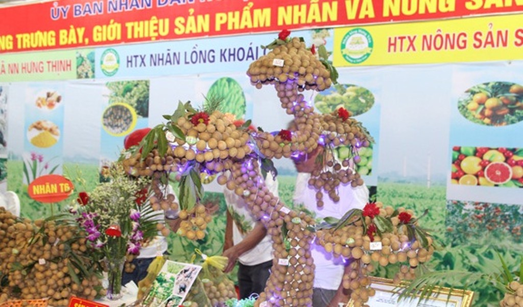 Xuất hiện tại lễ hội  nhãn lồng Hưng Yên năm 2018, sản phẩm nhãn bonsai của HTX Nông sản sạch Minh Bảo ở xã Bình Kiều (Khoái Châu, Hưng Yên) thu hút đông đảo khách tham quan. Ảnh: Dân Việt.