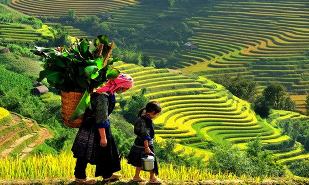 Hà Nội - Sa Pa là một trong những tour du lịch hút khách dành cho các kỳ nghỉ ngắn ngày. Dịp  Tết Nguyên đán 2019, giá tour Hà Nội - Sa Pa thời gian 3 ngày 2 đêm dao động từ 2-5 triệu đồng. Ảnh: Vietravel.