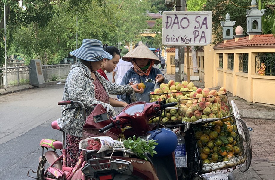 Khoảng nửa tháng nay, trên nhiều tuyến phố cũng như tại các khu chợ dân sinh ở Hà Nội xuất hiện những xe thồ chở đầy ắp đào lòng vàng, đào lông đỏ hay đào mỏ quạ có gắn biển “ đào Sa Pa”. Ảnh: Vietnamnet.