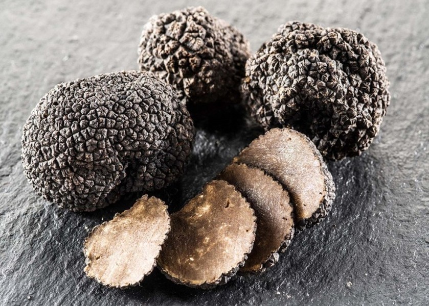 Từ xa xưa,  nấm truffle (hay còn gọi là nấm cục) được ca ngợi như "kim cương" trong thế giới ẩm thực. Đây cũng là loại nấm đắt nhất thế giới, chỉ giới siêu giàu mới dám thưởng thức.