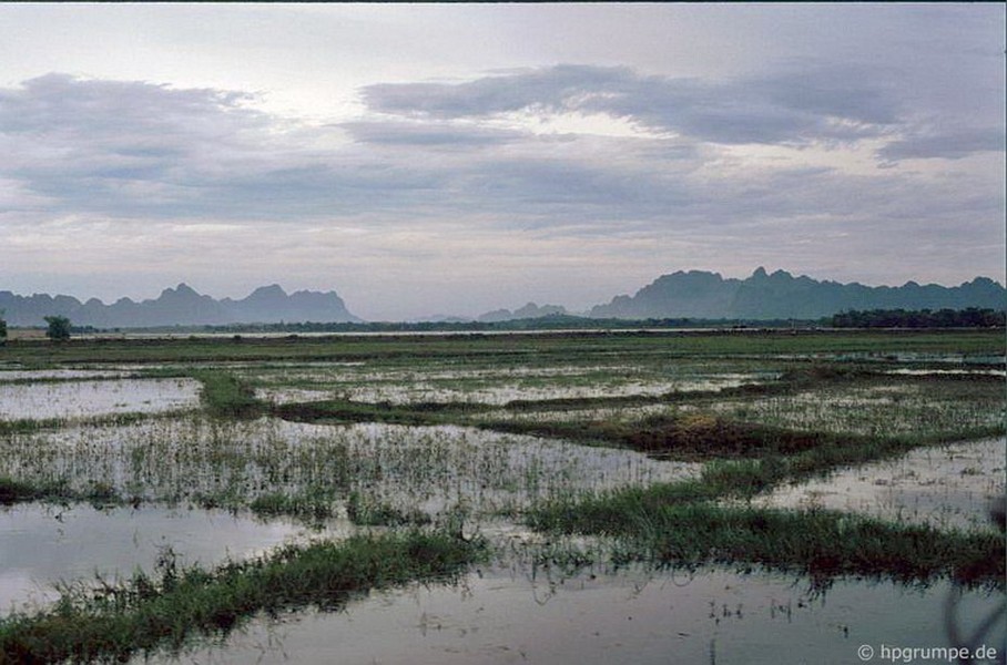 Phong cảnh đồng quê ở Ninh Bình.