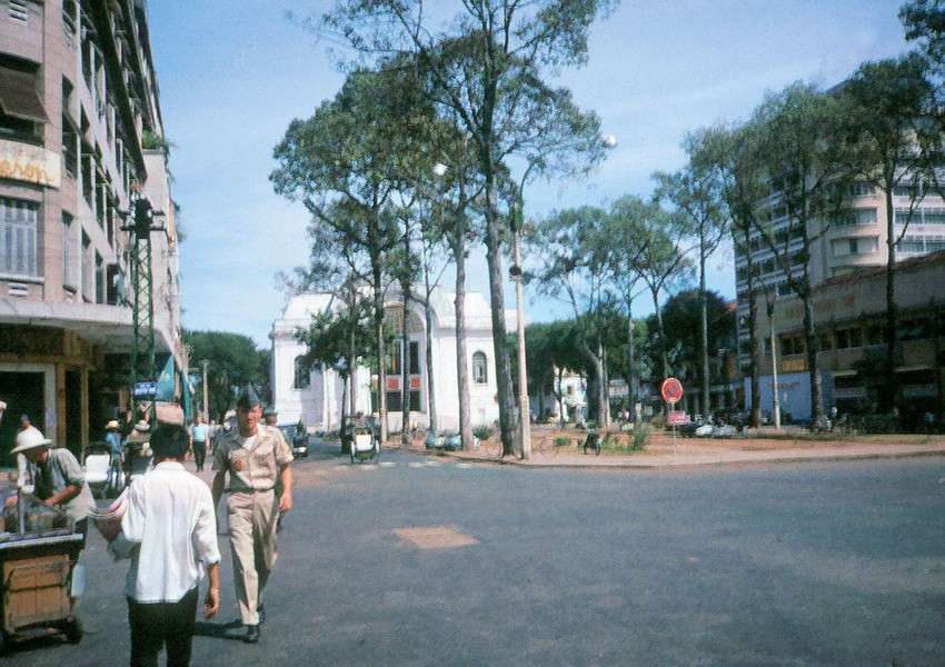 Hàng cây dầu phía trước nhà hát Lớn (lúc này là trụ sở Quốc hội) năm 1965. Ảnh: Bruce Baumler.