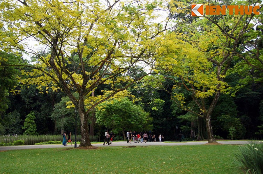 Tọa lạc trên khuôn viên rộng 74ha của ngọn đồi Fort Canning, Vườn Bách thảo Singapore là một trong những khu vườn thực vật lớn và lâu đời nhất thế giới.