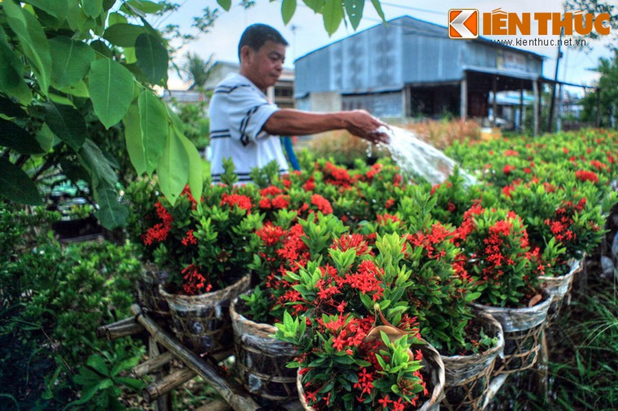 Nằm ở xã Tân Quy Đông, thành phố Sa Đéc, tỉnh Đồng Tháp,  làng hoa Tân Quy Đông hay còn gọi là làng hoa Sa Đéc được mệnh danh là xứ sở của các loài hoa kiểng ở khu vực Nam Bộ.