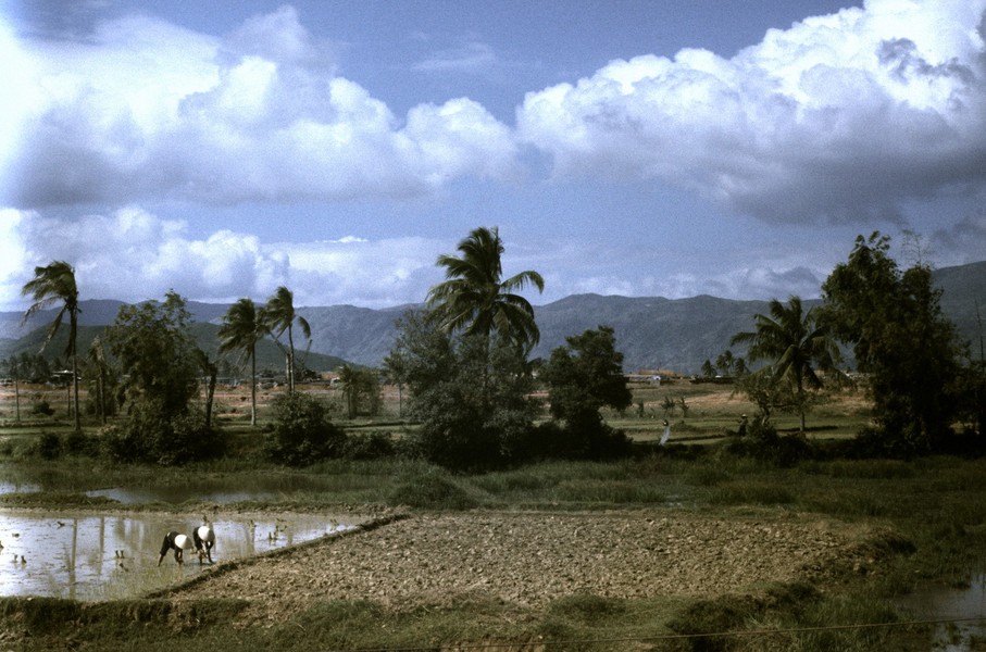 Khung cảnh trên đường đến Đức Phổ,  Quảng Ngãi năm 1967. Ảnh: Arty611.smugmug.com.