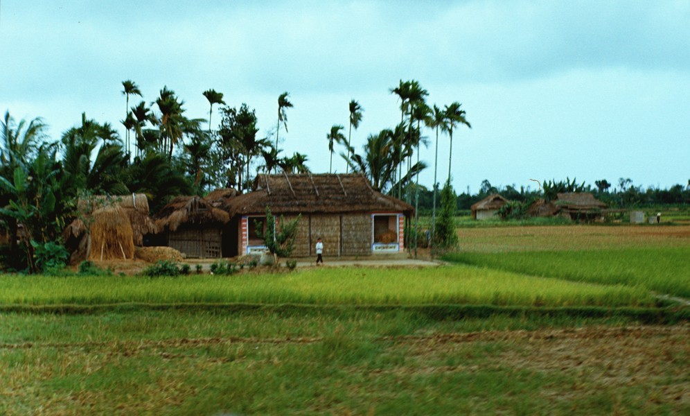 Nhà tranh bên Quốc lộ 1, đường tới thị xã Quảng Ngãi năm 1967. Ảnh: Arty611.smugmug.com.