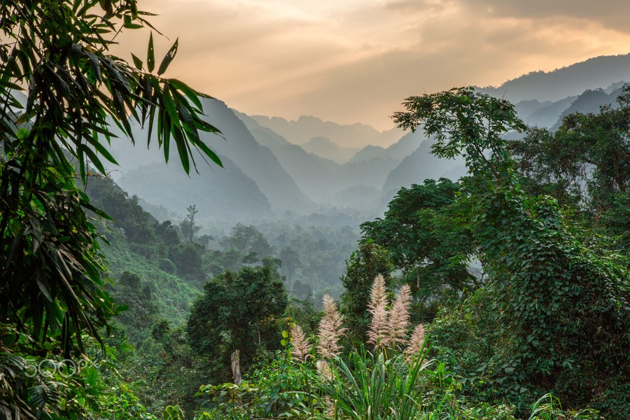 Khung cảnh thiên nhiên hùng vĩ ở Phong Nha - Kẻ Bàng. Ảnh: Mike Rowbottom / 500px.com.