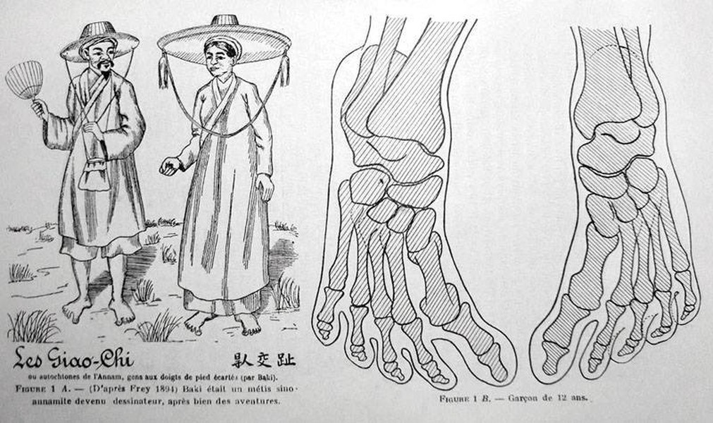 Một số tư liệu lịch sử trong và ngoài nước đề cập đến “ bàn chân Giao Chỉ” như một đặc điểm của người Việt cổ. Đó là bàn chân với hai ngón cái choãi ra, chạm vào nhau khi đứng ở tư thế bình thường.