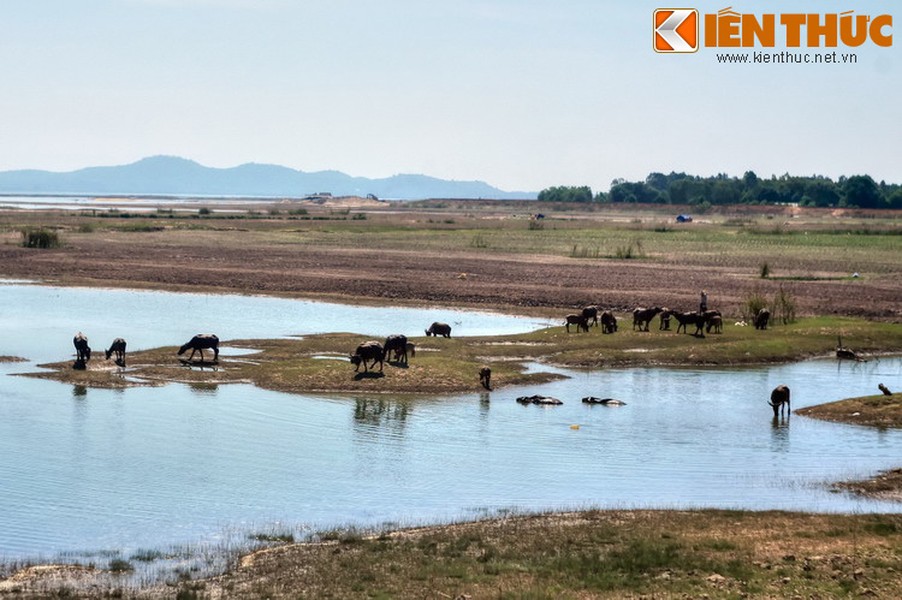 Nằm ở tỉnh Tây Ninh,  hồ Dầu Tiếng có diện tích mặt nước là 270 km² và 45,6 km² đất bán ngập nước, là hồ nước nhân tạo lớn nhất của Việt Nam. Không chỉ là công trình thủy lợi quan trọng, đây còn là thắng cảnh nổi tiếng của vùng Đông Nam Bộ.