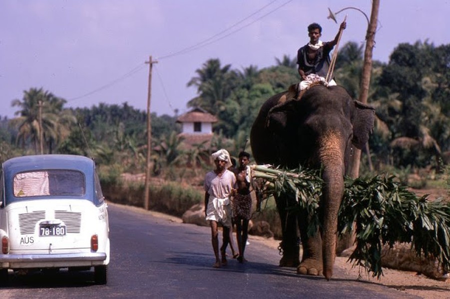 Một con voi trên đường quốc lộ ở bang Kerala,  Ấn Độ năm 1969. Ảnh: Bruce Thomas Flickr.