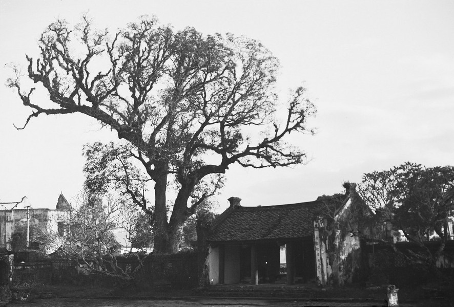 Cổng tam quan của  chùa Liên Phái, Hà Nội năm 1952. Ngày nay chùa nằm trong ngõ Liên Phái, phố Bạch Mai, phường Cầu Dền, quận Hai Bà Trưng, Hà Nội.