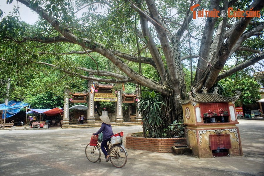 Nằm trên núi Câu Lâu ở thôn Yên, xã Thạch Xá, huyện Thạch Thất, thành phố Hà Nội, chùa Tây Phương (tên chữ là Sùng Phúc tự) là một ngôi chùa cổ được cả nước biết đến.