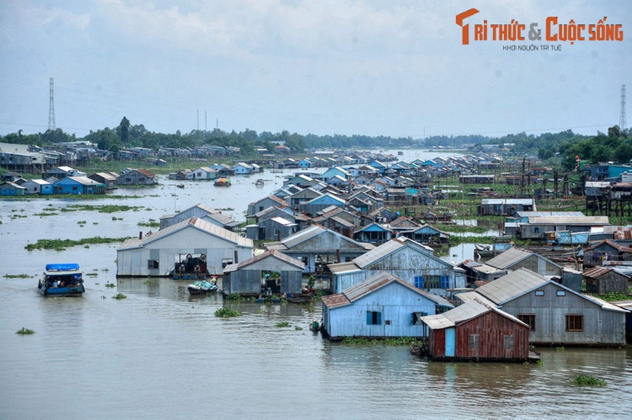 1. Nằm ở địa phận thành phố Châu Đốc, tỉnh An Giang,  làng bè Châu Đốc gồm hàng nghìn căn nhà nổi và bè cá xếp cạnh nhau kéo dài vài cây số dọc theo sông Hậu. Nghề chính của các cư dân nơi đây là nuôi cá basa, loại thủy sản có giá trị kinh tế cao của địa phương.