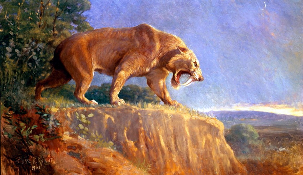  Hổ răng kiếm hay Smilodon là một chi động vật có vú thuộc họ Mèo đã tuyệt chủng. Chúng là một trong những động vật thời tiền sử nổi tiếng nhất do ngoại hình rất ấn tượng.