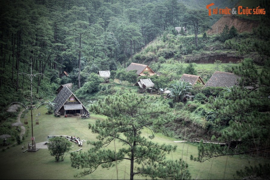 Nằm trong rừng thông xanh tốt dưới chân núi Lang Biang, cách trung tâm TP Đà Lạt khoảng 20 km, làng Cù Lần là một địa danh du lịch rất nổi tiếng của "phố núi ngàn hoa".