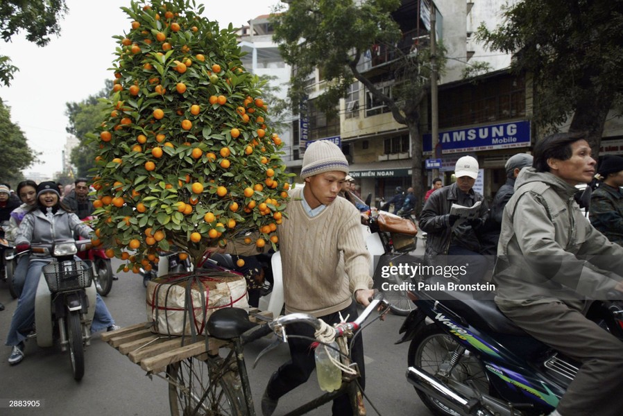 Một thanh niên vận chuyển cây quất bằng xe đạp trên phố Hai Bà Trưng, Hà Nội dịp giáp  Tết Nguyên đán Giáp Thân, năm 2004. Ảnh: Paula Bronstein / Getty Images.