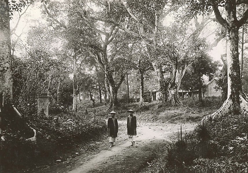 Lối vào lăng vua Gia Long,  Cố đô Huế năm 1919-1926. Ảnh: Manhhai / Flickr.