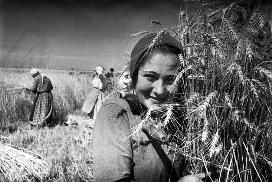 Cô gái trên cánh đồng,  Liên Xô thập niên 1930. Ảnh: Mark Markov-Grinberg.