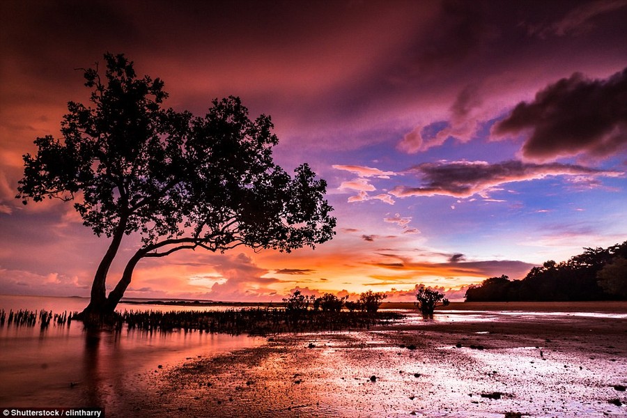 Trong chuyến hành trình khám phá  cảnh đẹp như tranh vẽ ở Australia, nhóm du khách đã tới đảo Darwin. Đây là khung cảnh hoàng hôn tuyệt đẹp ở điểm phía đông đảo Darwin. Ảnh Daily Mail