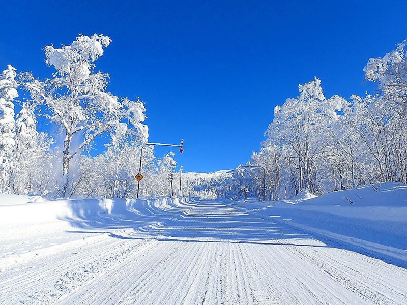 Hokkaido, Nhật Bản: Thời tiết ở Hokkaido vào  mùa đông phủ trắng băng tuyết rất lạnh, nhiệt độ xuống khoảng âm 5 độ C, phía đông có khi xuống tới âm 30 độ C. Hokkaido nổi tiếng với hiện tượng thiên nhiên kỳ thú có tên "bụi kim cương", được hình thành khi nhiệt độ đóng băng xuống dưới âm 15 độ C. Những tinh thể tuyết hoặc hơi ẩm kết tinh rồi rơi xuống đúng lúc ánh mặt trời phản chiếu, tạo thành một luồng bụi sáng lấp lánh tựa những viên kim cương. Chỉ có Nam Cực, Bắc Cực và những khu vực như Furano và Asahikawa của Hokkaido mới có hiện tượng thiên nhiên tuyệt diệu này. Ảnh: Ke1co1011.