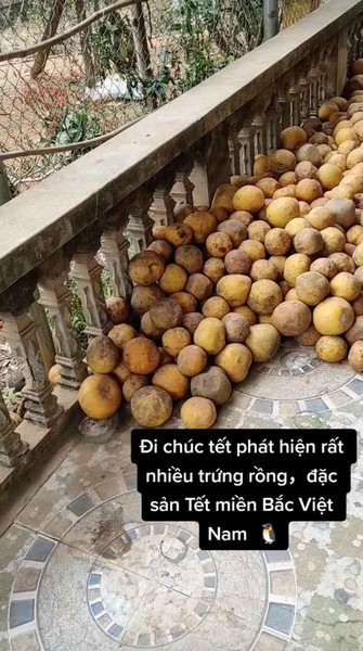 Cảnh tượng những quả bưởi nằm lăn lóc xuất hiện ở rất nhiều gia đình miền Bắc trong những ngày Tết này.