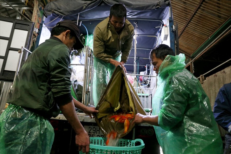 Tại khu chợ đầu mối cung cấp cá Yên Sở (Hoàng Mai, Hà Nội), những ngày cuối năm lúc nào cũng nhộn nhịp người ra người vào.